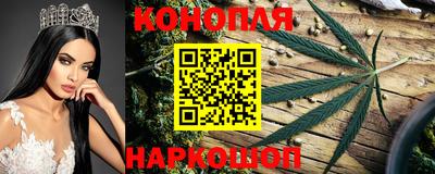 трава Малгобек